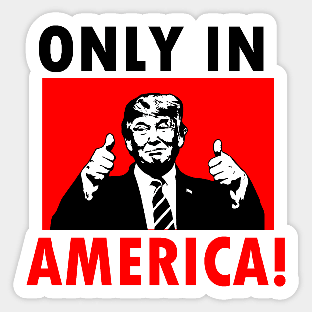 ONLY IN AMERICA! Sticker by truthtopower